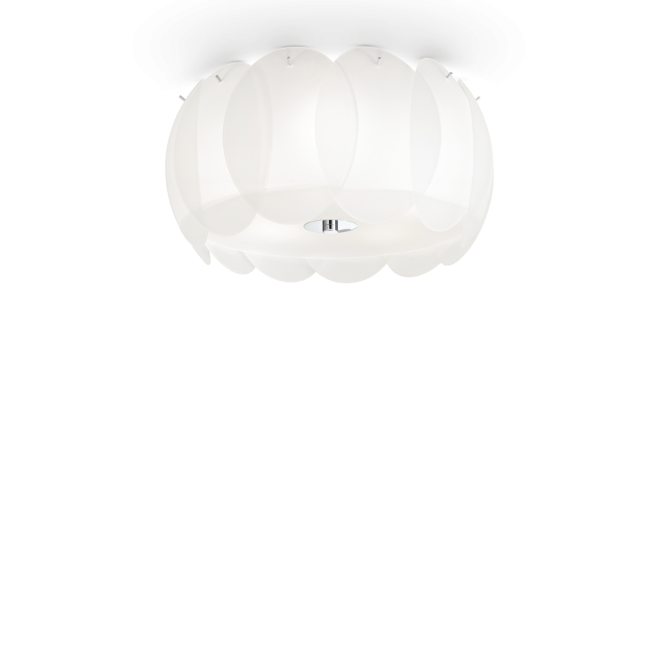 OVALINO PL5