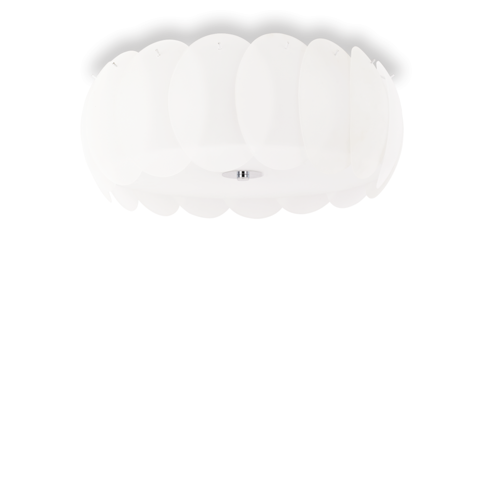 OVALINO PL8