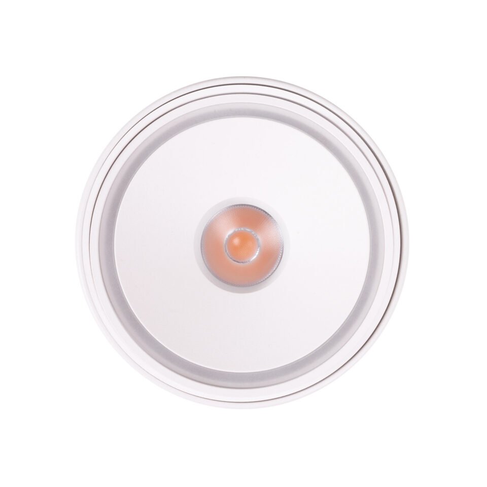 Maxlight C0265 Vector 10W