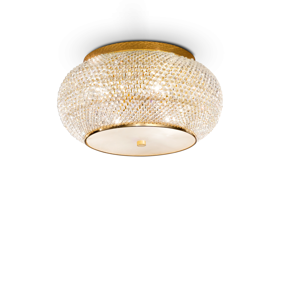 PASHA' PL06 ORO