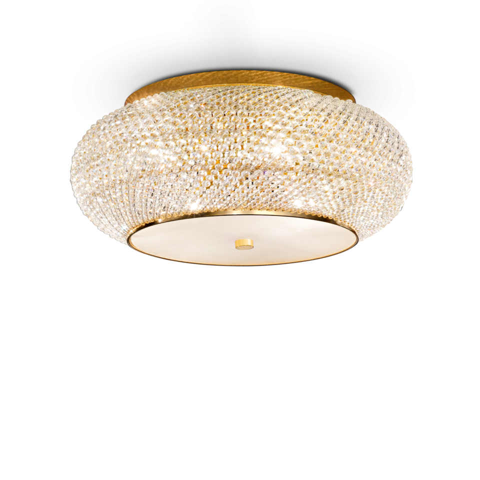 PASHA' PL14 ORO