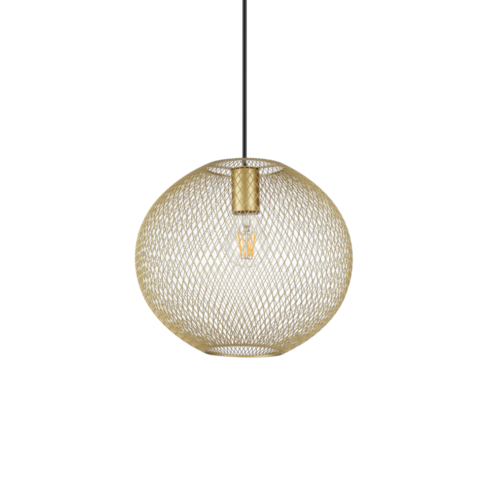 NET SP1 D29 ORO