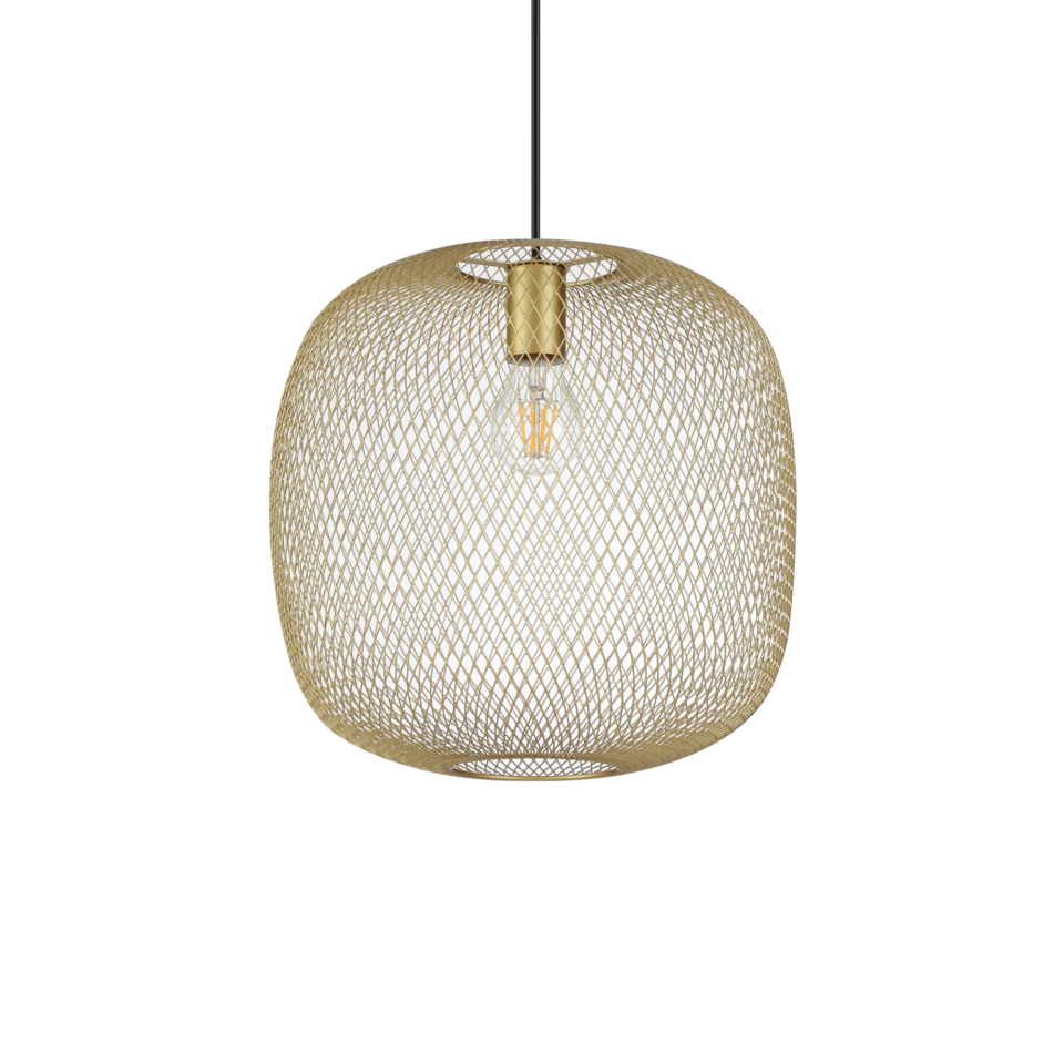 NET SP1 D34 ORO