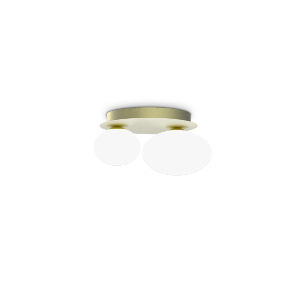 NINFEA AP2 OTTONE