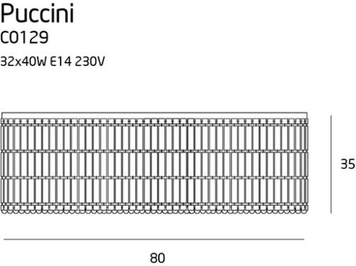 puccini-C3