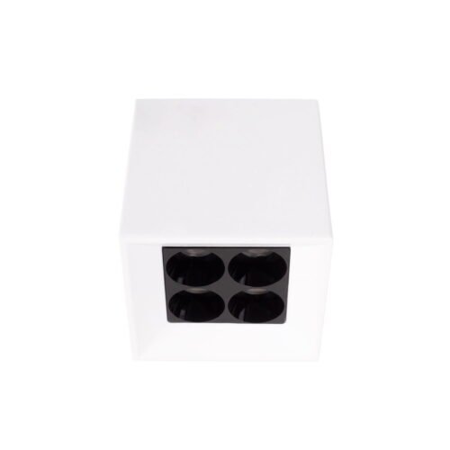 maxlight-C0251