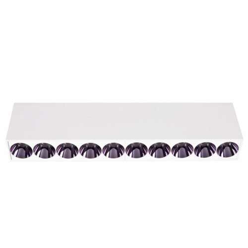 maxlight-C0254